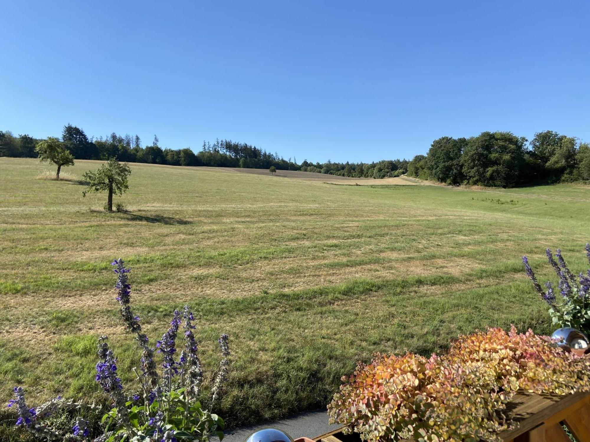 Taunusglueck Lägenhet Glashutten  Exteriör bild